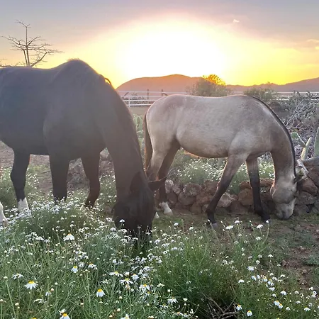 Eden's Retreat Apartamento