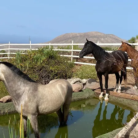 Apartamento Eden's Retreat *