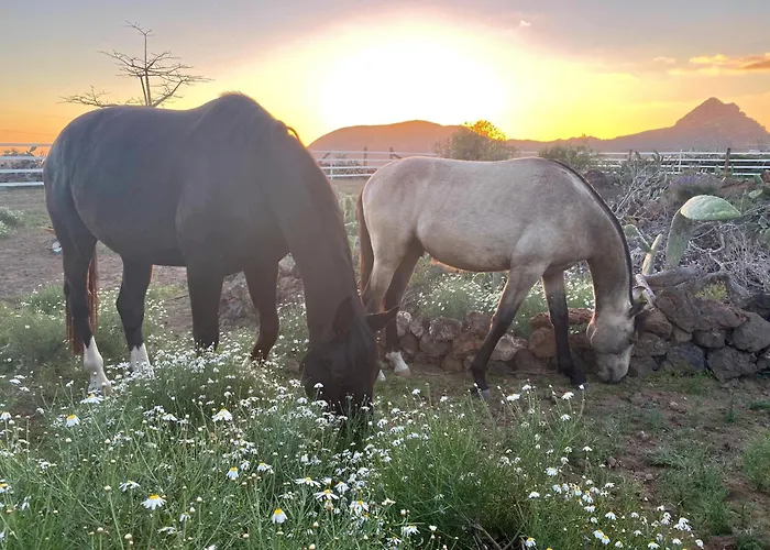 Eden's Retreat Апартаменты