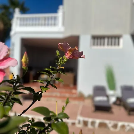 Апартаменты Eden's Retreat Арона