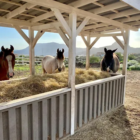 Eden's Retreat Appartamento Arona (Tenerife)