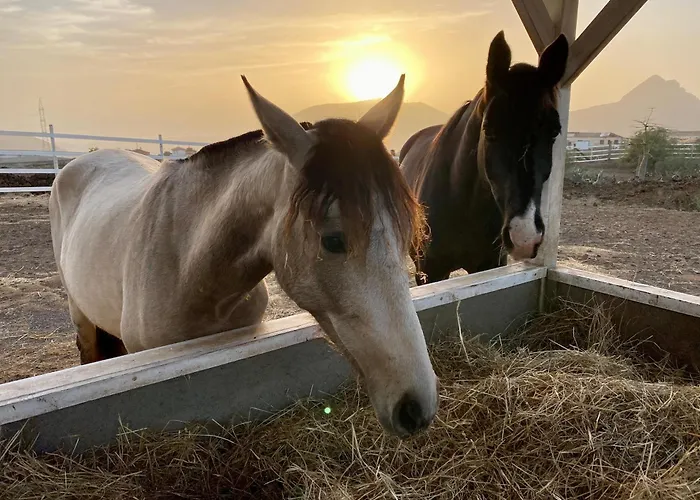 Eden's Retreat アパート アロナ