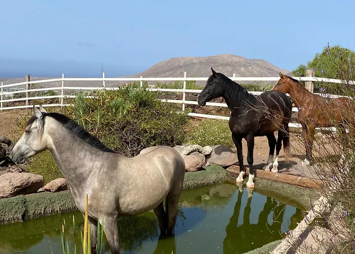 アパート Eden's Retreat *