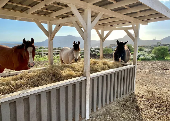 Eden's Retreat Appartement Arona (Tenerife)